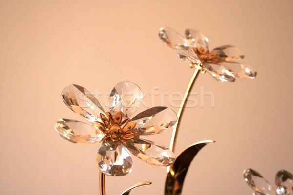 Fleurs verre or brun lumière beauté Photo stock © ruzanna