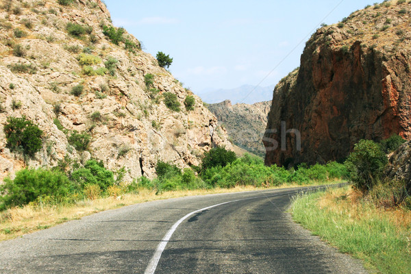 Weg Armenië draaien berg boom bos Stockfoto © ruzanna