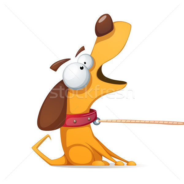 Funnu, cute, crazy yellow dog. Stock photo © rwgusev