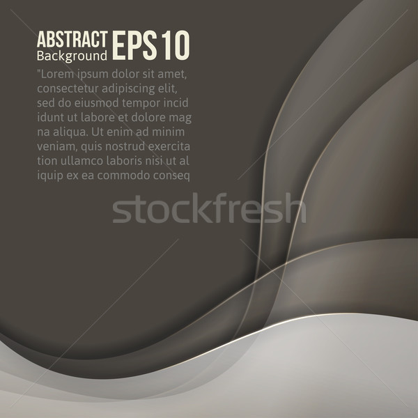 Abstract grey light vector background. forms a smooth transition and waves. Stock photo © sabelskaya