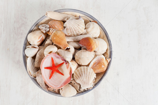 Tenger kagylók különböző aranyos tengeri csillag csillag Stock fotó © sabinoparente