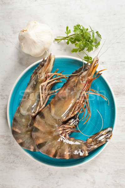 Fresh raw big prawn on a blue plate Stock photo © sabinoparente