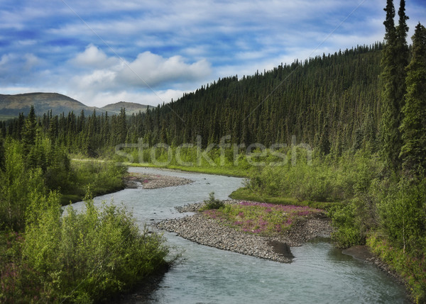 [[stock_photo]]: Montagnes · Alaska · paysage · ciel · fleurs · eau