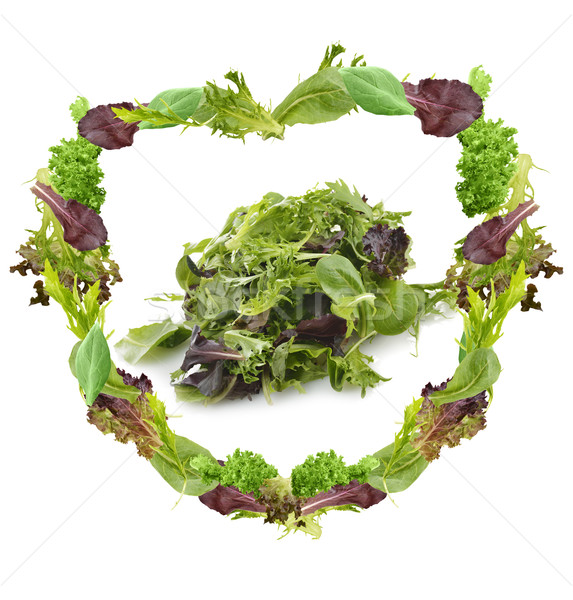 Stock photo: Salad Leaves