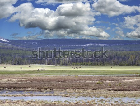 Mountain Landscape Stock photo © saddako2