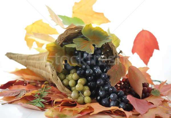 Foto stock: Caída · cuerno · de · la · abundancia · de · uva · colorido · hojas · de · otoño