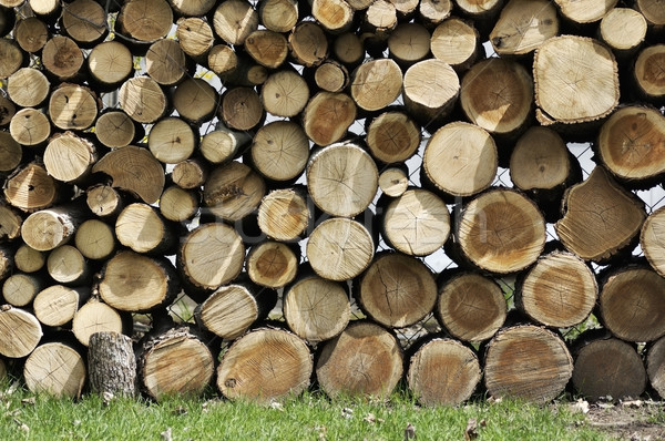 Cut Wood Logs Stock photo © saddako2