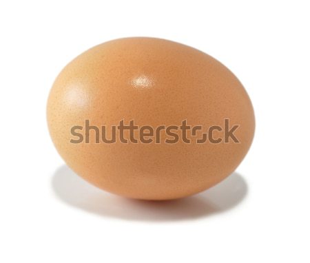 brown egg  Stock photo © saddako2