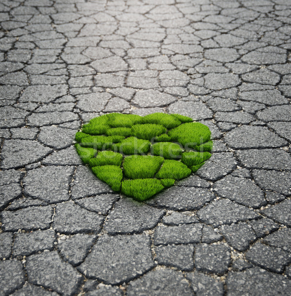 草 成長 アスファルト 心臓の形態 道路 緑 ストックフォト © saddako2