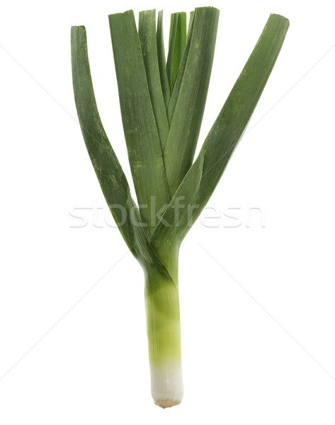 Póréhagyma izolált fehér nagy zöld növény Stock fotó © saddako2