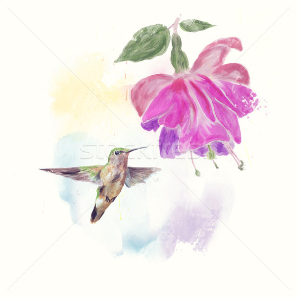 Kolibri virág vízfesték festmény állat szárnyak Stock fotó © saddako2