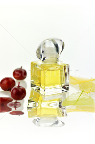Parfüm cam sıvı kozmetik sprey yansıma Stok fotoğraf © saddako2