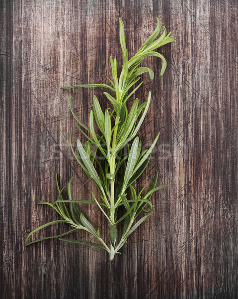 Stock photo: Branch Of Rosemary