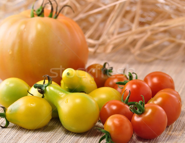  tomatoes Stock photo © saddako2