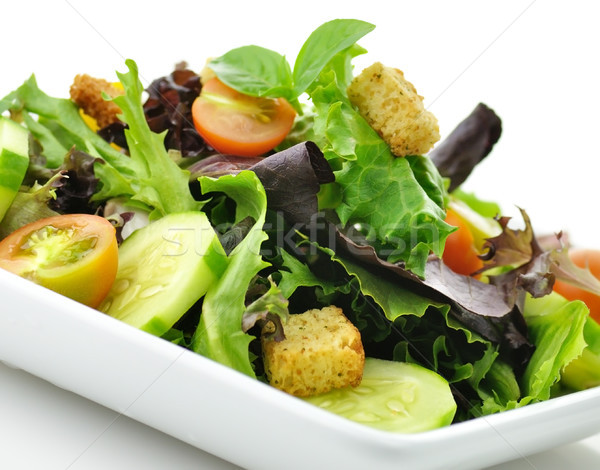 fresh salad Stock photo © saddako2