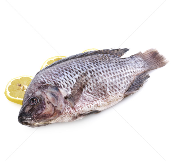 Stock photo: Raw Fish