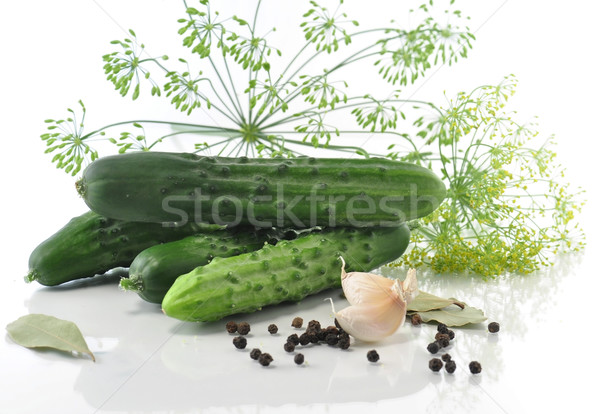 Pickle ingredients Stock photo © saddako2