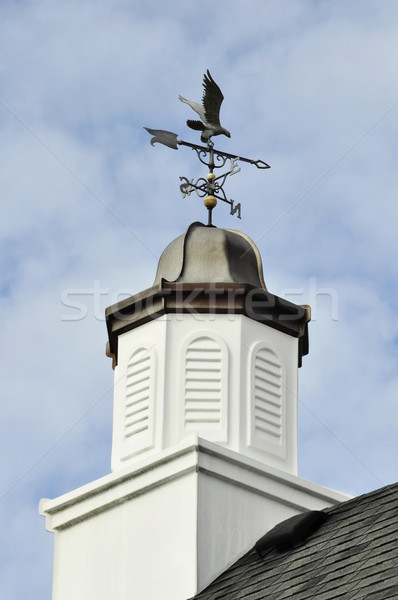 weather vane  Stock photo © saddako2