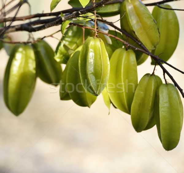 Carambola Or Starfruit Stock photo © saddako2