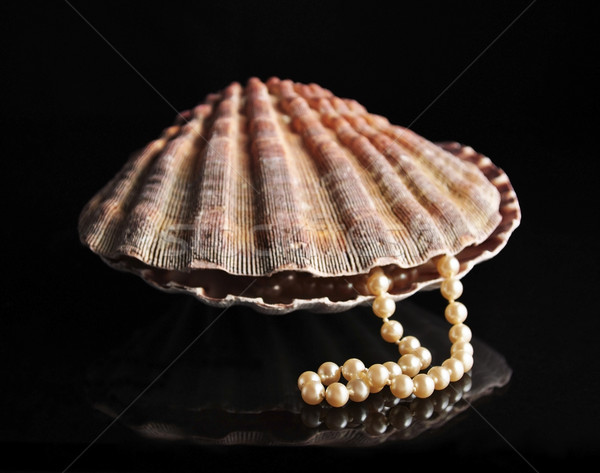 Pearls inside the shell  Stock photo © saddako2