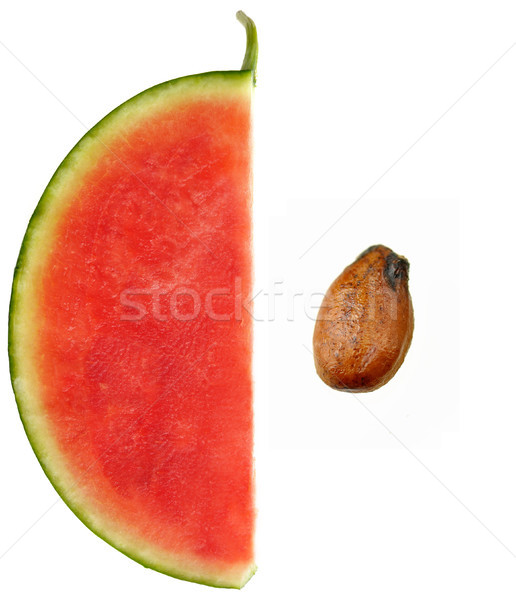 Querschnitt Wassermelone rot weiß frischen Stock foto © saddako2
