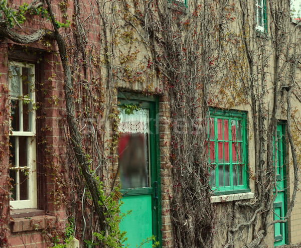Régi ház fedett gyönyörű színes borostyán ajtó Stock fotó © saddako2