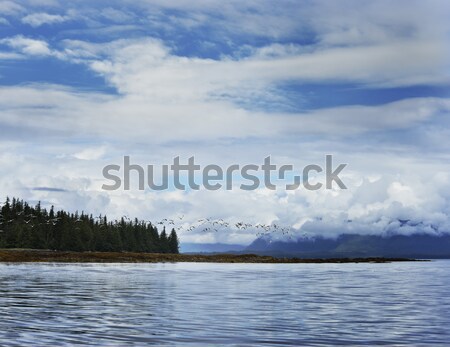 Stock photo: Alaska Landscape