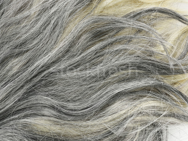 Graue Haare Textur schwarz weiß Konzept Stock foto © saddako2