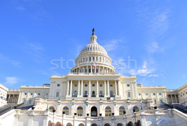 Capitol Hill Building ,Washington DC. Stock photo © saddako2