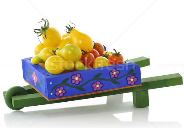 tomatoes composition Stock photo © saddako2