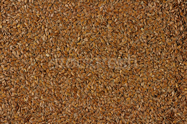 flaxseed background Stock photo © saddako2