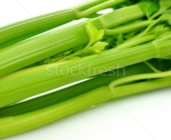 Selderij voedsel achtergrond groene plant Stockfoto © saddako2