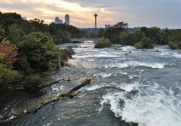 Niagara River.USA Stock photo © saddako2