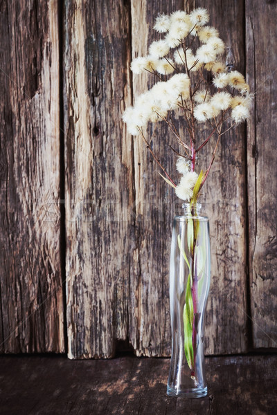 Essiccati fiori di campo vuota bottiglia profumo legno Foto d'archivio © saharosa