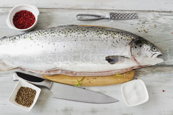  salmon carcass Stock photo © saharosa