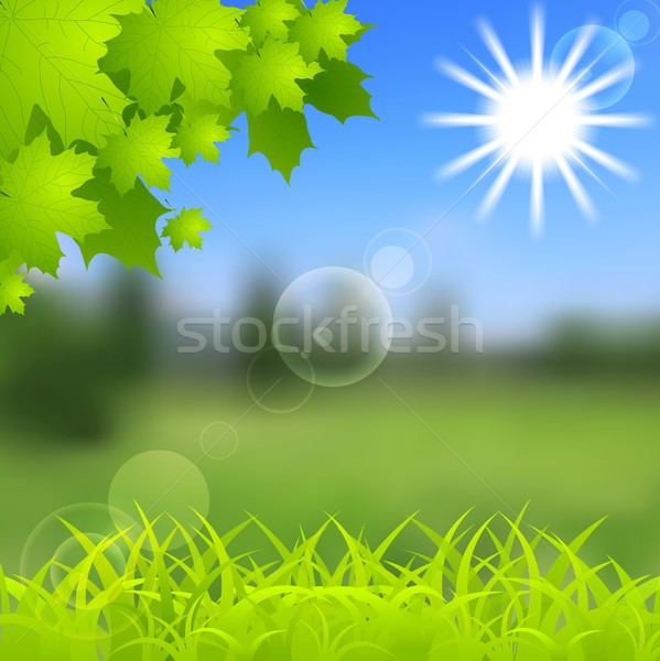 春 夏 勾配 活気のある ストックフォト © saicle