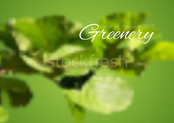 Trend color of the year 2017 Greenery background Stock photo © saicle
