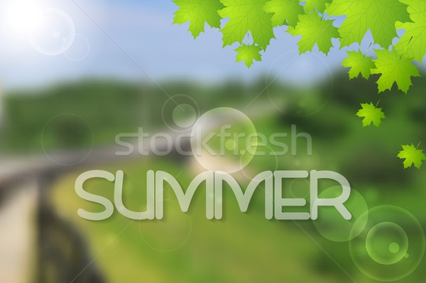 Bright green summer landscape vector design Stock photo © saicle