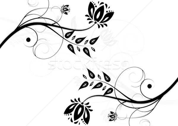 Streszczenie czarno białe kwiatowy poziomy pozycja trawy Zdjęcia stock © saicle