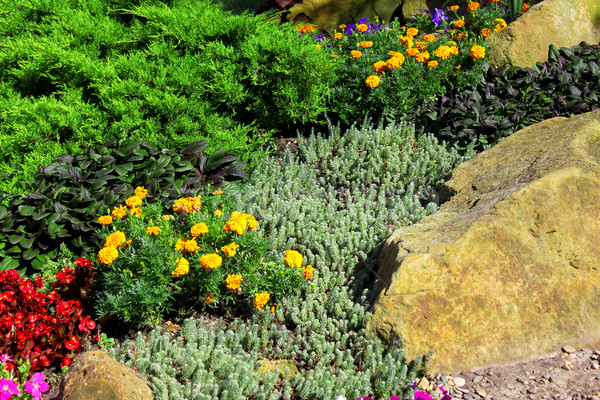 Gartengestaltung schönen farbenreich Blumen Stein Natur Stock foto © saicle