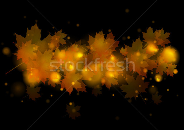 Automne érable laisse noir brillant or [[stock_photo]] © saicle