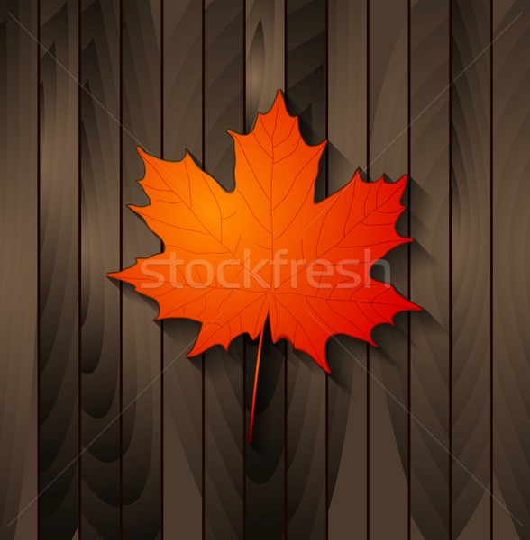 Autumn maple leaf on wooden background Stock photo © saicle