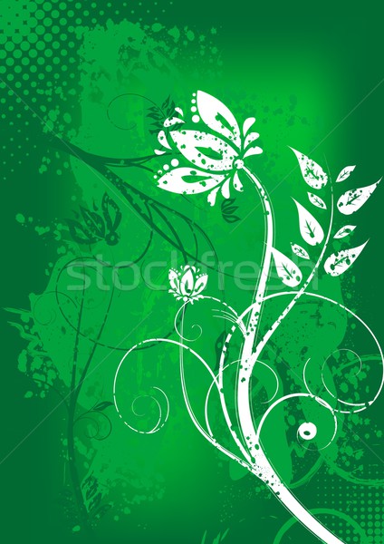 Grunge floral background Stock photo © saicle
