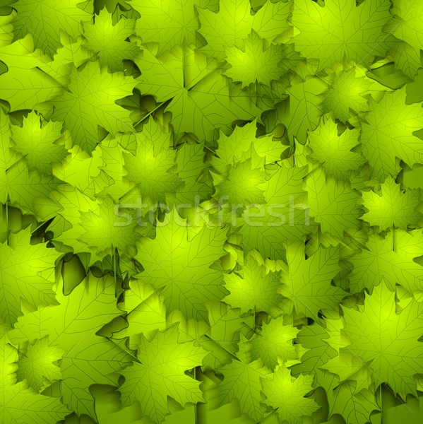 Verde verano hojas vector textura brillante Foto stock © saicle