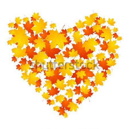 [[stock_photo]]: Automne · coeur · érable · laisse · design · graphique · vecteur