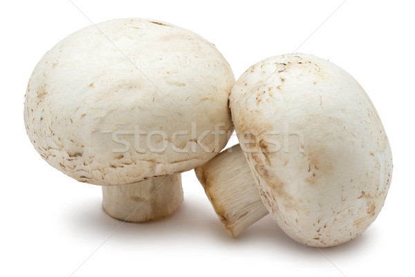 Pieczarka grzyby świeże odizolowany biały żywności Zdjęcia stock © sailorr