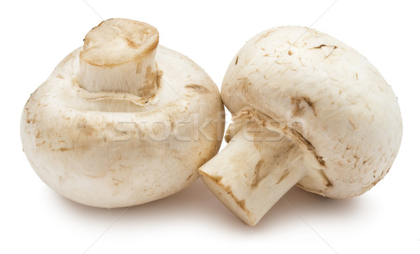 Champignon gombák friss izolált fehér étel Stock fotó © sailorr