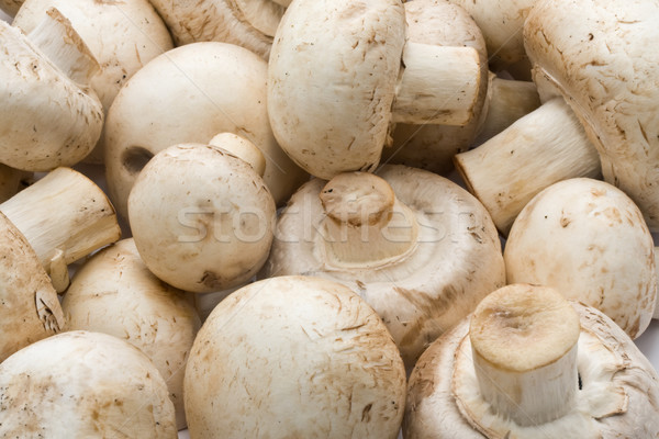 Stock fotó: Champignon · gombák · készít · nyers · étel · minta · háttér