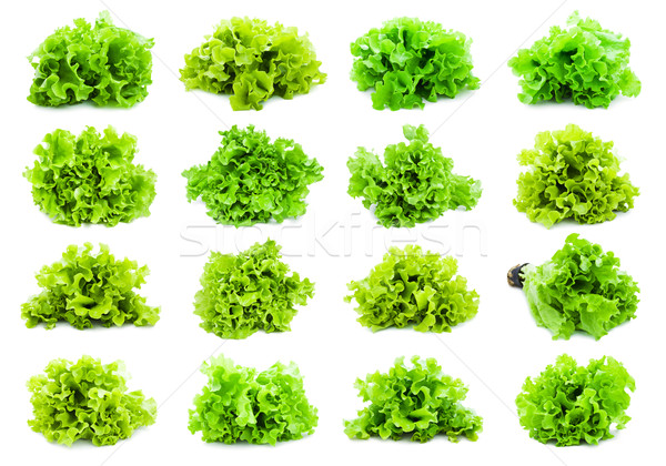 Lettuce Stock photo © sailorr