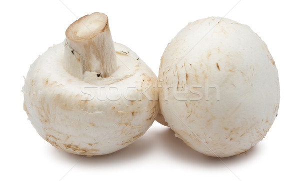 Сток-фото: шампиньон · грибы · свежие · изолированный · белый · продовольствие